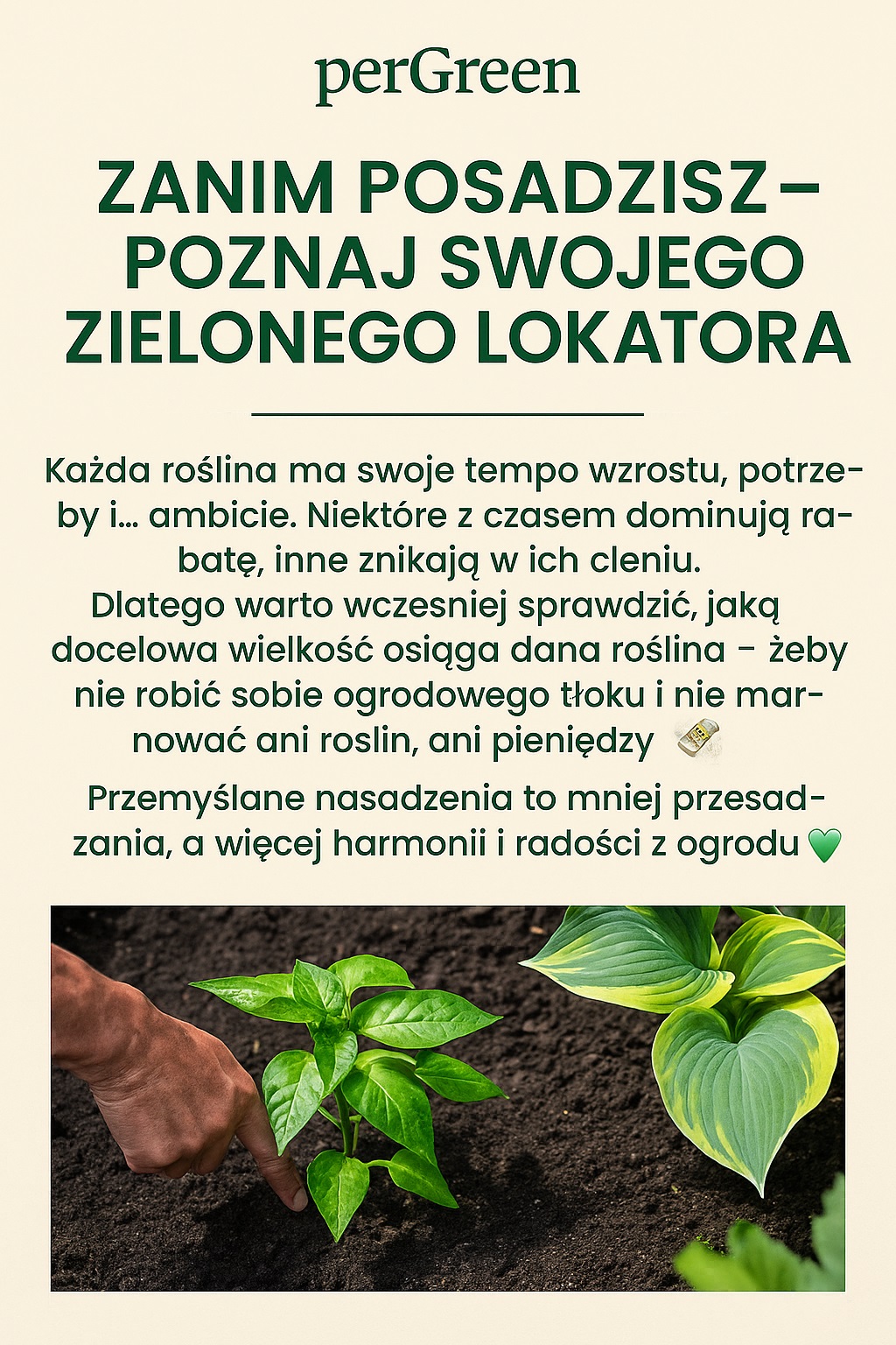 Zanim posadzisz – poznaj potrzeby roślin